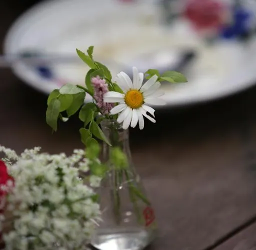 Affittacamere Schallergut